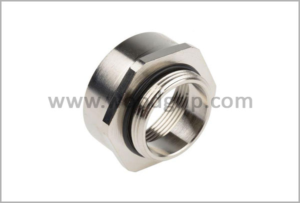 Brass LAPP Adaptors Brass LAPP Adaptors